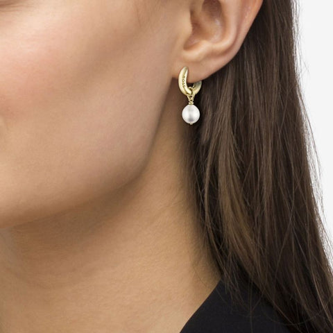 Boss Jewellery Ladies Gold Plated Pearl Hoop Earrings 1580525