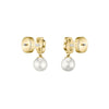 BOSS Jewellery Ladies Double B Mireille Earrings 1580822