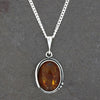 Amber Sterling Silver Oval Pendant and Chain | H&H Family Jewellers