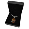 Amber Sterling Silver Large Oval Pendant & Chain | H&H Family Jewellers