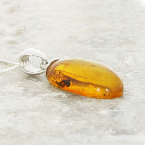 Amber With Insect Sterling Silver Pendant and Chain