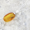 Amber With Insect Sterling Silver Pendant and Chain