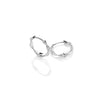 Ava & Sky Stainless Steel Twist Huggie Hoop Earrings ASE0034