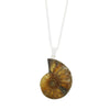 Ammonite Sterling Silver Pendant and Chain