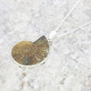 Ammonite Sterling Silver Pendant and Chain