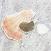 Ammonite Sterling Silver Pendant and Chain