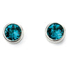 Sterling Silver December Birthstone Stud Earrings E5561
