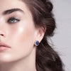 Diamonfire Sterling Silver Blue Cubic Zirconia Earrings E5586