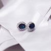 Diamonfire Sterling Silver Blue Cubic Zirconia Earrings E5586
