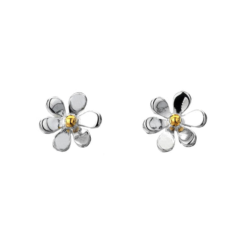 Silver Origins Summer Daisy Stud Earrings | P1473 | H&H Jewellers