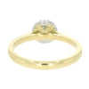 18ct Yellow Gold and Platinum Brilliant Cut 0.28ct Diamond Halo Cluster Ring
