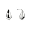 Radley Raindrop Fashion Earrings RYJ1525S