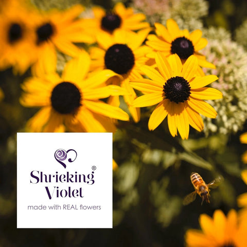 Shrieking Violet Sunflower Round Drop Earrings SE02