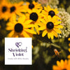 Shrieking Violet Real Flower Sunflower