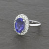 14ct White Gold 3.98cts Tanzanite and Diamond Cluster Ring