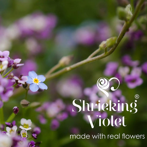 Shrieking Violet Real Flower Adjustable Silver Ring MRA-01