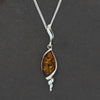 Amber Sterling Silver Pendant & Chain | H&H Family Jewellers