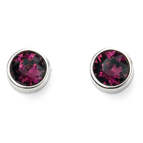 Sterling Silver February Birthstone Stud Earrings E5560