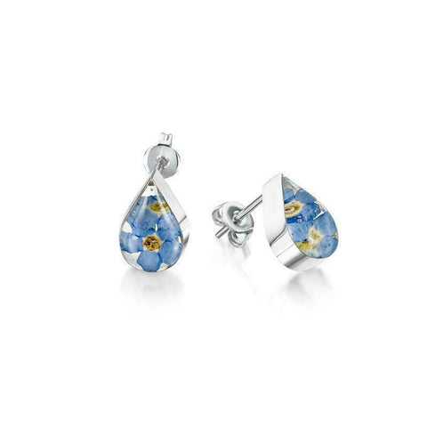 Shrieking Violet Real Flower Forget Me Not Stud Earrings FE03