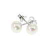 Lido Pearls White Freshwater Pearl Silver Stud Earrings SMALLSW | H&H