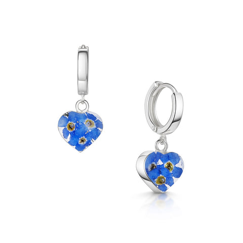 Shrieking Violet Real Flower Forget Me Not Huggie Earrings FEH02